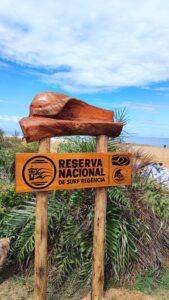 Foto: APRENDER Ecologia