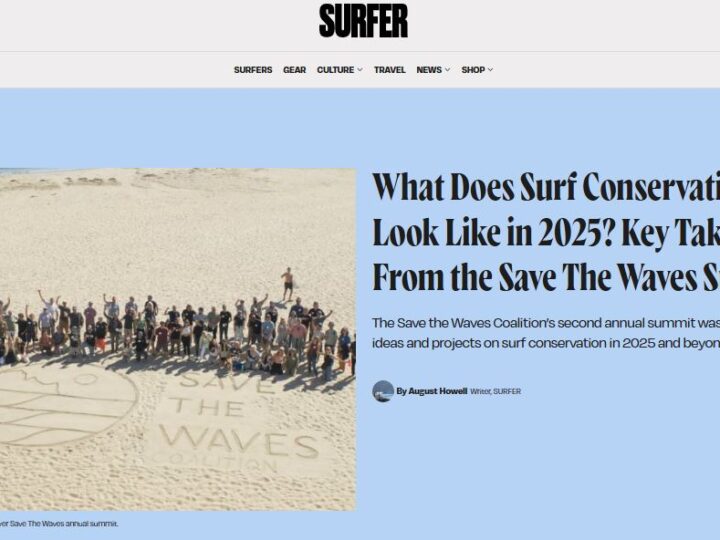 Brasil ganha destaque internacional na conservação global das ondas