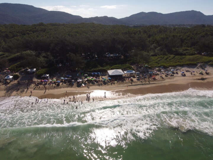 1º Festival Cultura Surf e Floresta Viva movimenta mais de 2.500 pessoas e retira 2.800 pinus da restinga do Moçambique